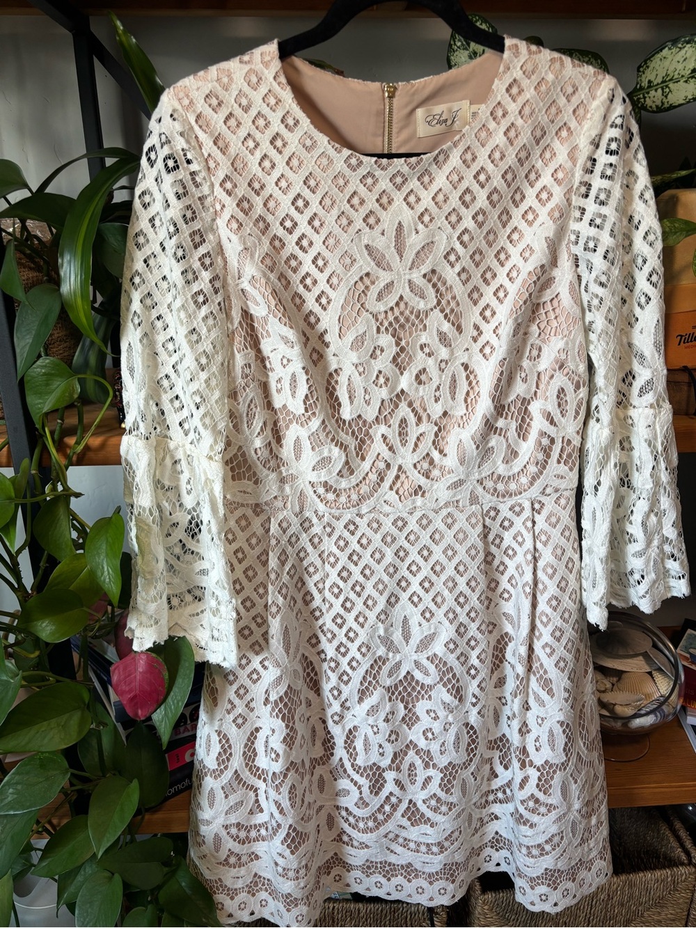 ELIZA J Bell Sleeve Lace Fit & Flare Dress In Ivory | Size 8 - Picture 6 of 8